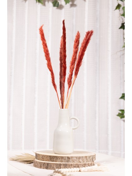 BOUQUET 6 TIGES HERBE DE PAMPA BORDEAUX 65-75CM