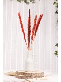 BLUMENSTRAUSS 6 STIELE HERBE AUS PAMPASGRAS BORDEAUX 65-75CM