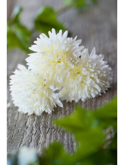 BLUMENSTRAUSS 6 DAHLIEN WEISS 26CM