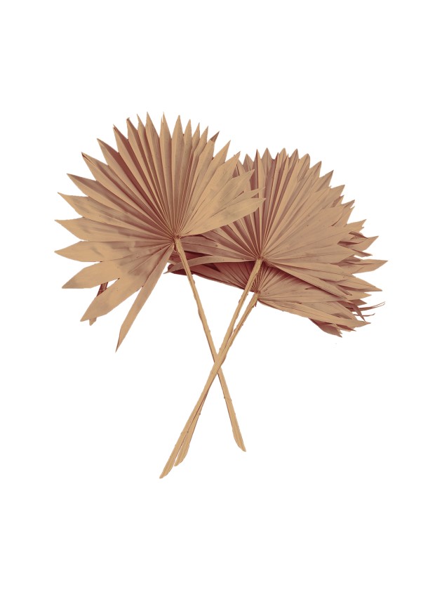 10 SUN SPEARS 55CM POWDER PINK 