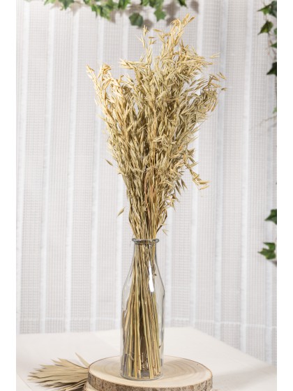 BLUMENSTRAUSS HAFER NATUR 100G 70CM