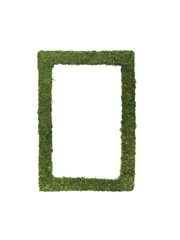 GREEN MOSS FRAME 60CM X 40CM