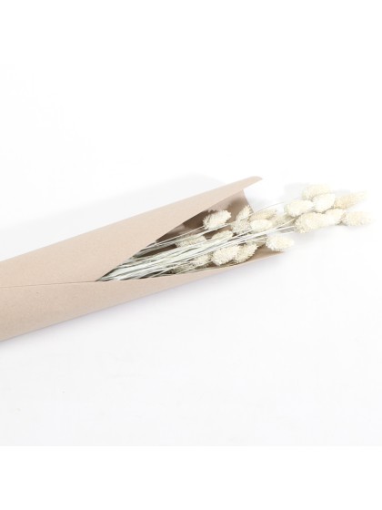 BLUMENSTRAUSS PHALARIS WEISS MISTY CA. 60GR CA. 64CM