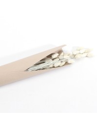 BLUMENSTRAUSS PHALARIS WEISS MISTY CA. 60GR CA. 64CM