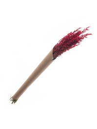 BLUMENSTRAUSS HAFER ROT CA. 65GR CA. 65CM