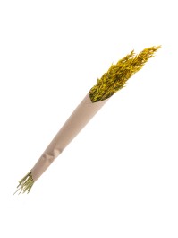 BLUMENSTRAUSS HAFER GELB CA. 65GR CA. 65CM