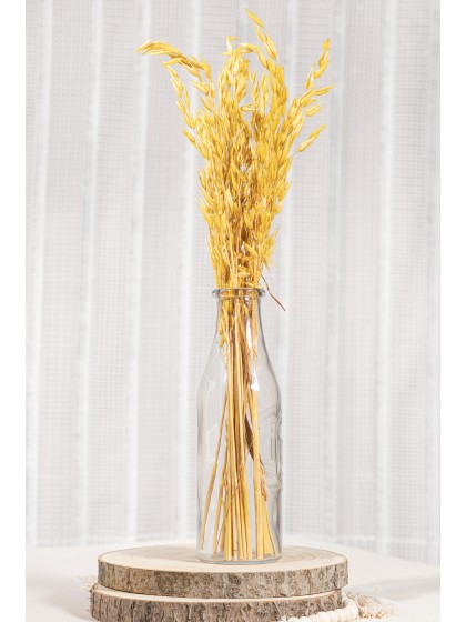 BLUMENSTRAUSS HAFER GELB CA. 65GR CA. 65CM