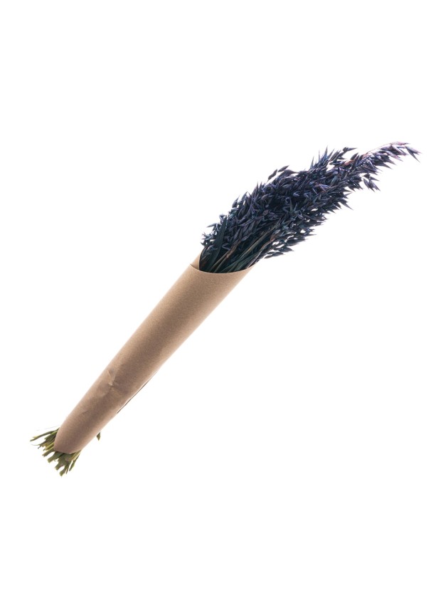 BLUMENSTRAUSS HAFER BLAU CA. 65GR CA. 65CM