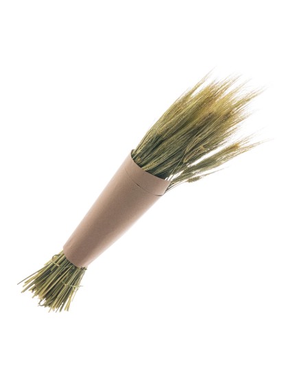 GERST NATURAL GREEN +/- 290 GR +/- 70CM