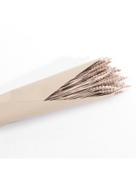 BUNCH PINK GOLD WHEAT +/-100 GR  +/- 65CM