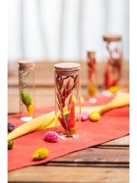 REAGENZGLAS DIA 4.5CM X 12CM