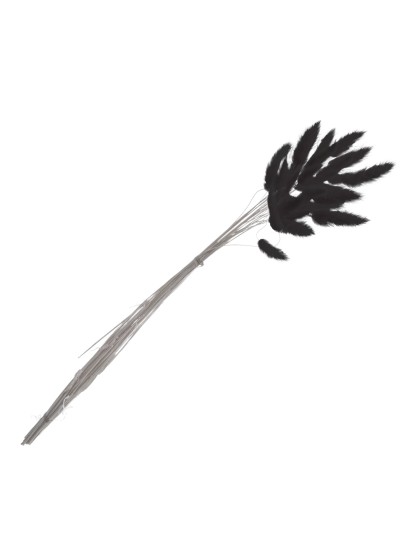 BUNCH OF 25 PCS BLACK LAGURUS 50-60CM