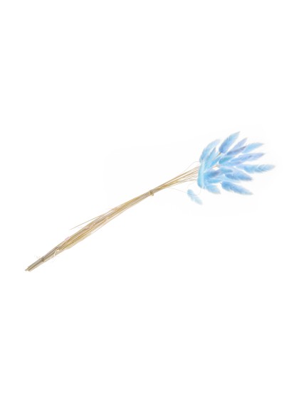 BLUMENSTRAUSS 25 STIELE HASENSCHWANZGRAS BLAU 50-60CM