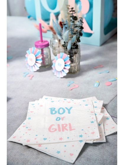 BAG 20 NAPKINS 3 PLYS BOY OR GIRL 33CM X 33CM