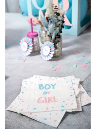 BAG 20 NAPKINS 3 PLYS BOY OR GIRL 33CM X 33CM
