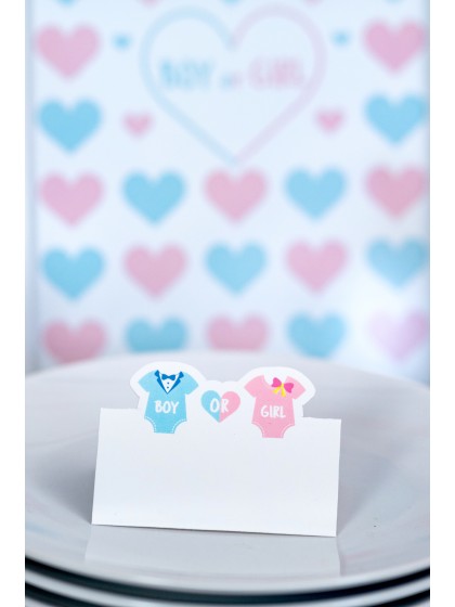 SET 6 TABLE PLACE CARDS BOY OR GIRL 8CM X 5.5CM