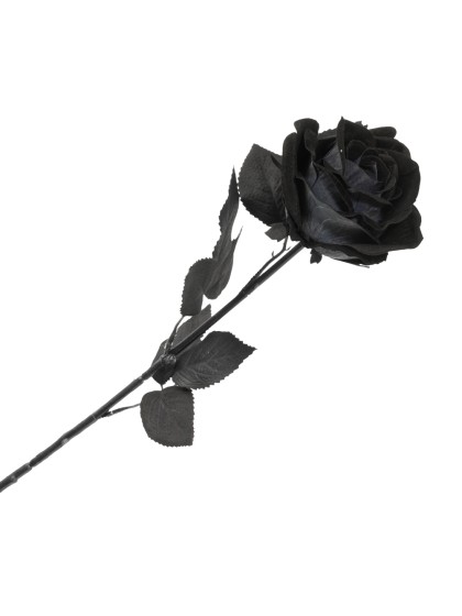 TIGE ROSE NOIRE HALLOWEEN 65CM
