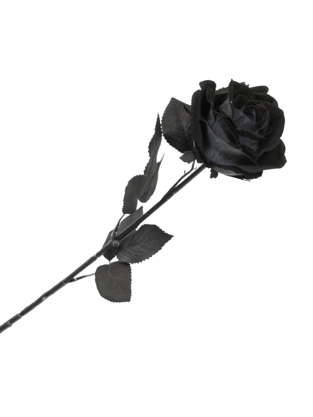 STIEL ROSA SCHWARZ HALLOWEEN 65CM