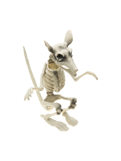 RAT SQUELETTE 20CM X 26CM X 29CM