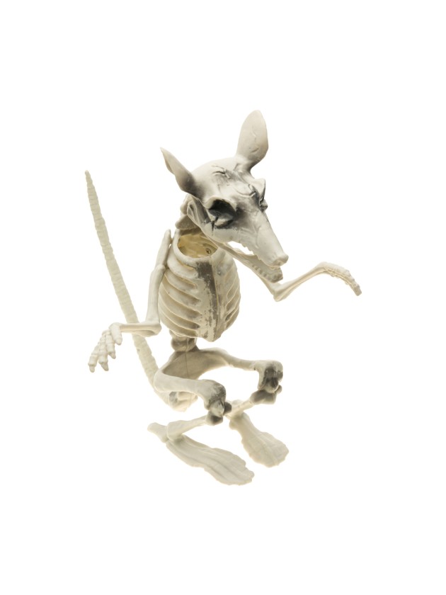 SKELETON RAT 20CM X 26CM X 29CM