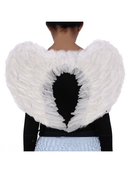 AILES D\'ANGE BLANC 60CM X 45CM