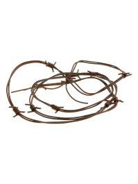 FIL BARBELE EFFET ROUILLE 2.5M