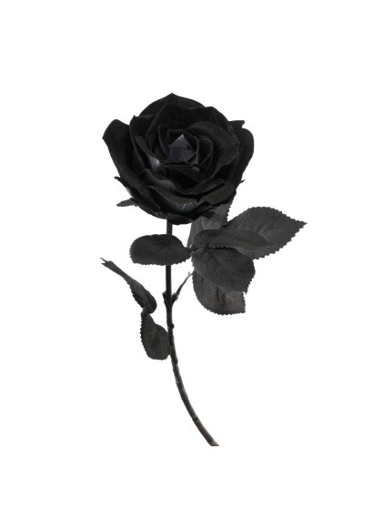 TIGE ROSE NOIRE LUXE HALLOWEEN 66CM
