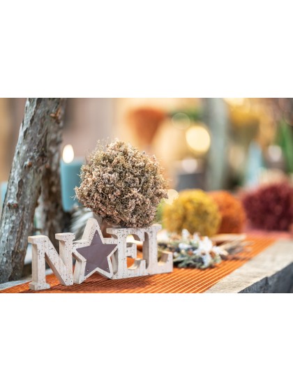 KUGEL DEKO HERBST NATUR 10CM