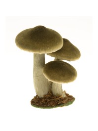 3 CHAMPIGNONS VERTS FORESTIER SUR SOCLE MOUSSE 12CM X 14CM X 17CM