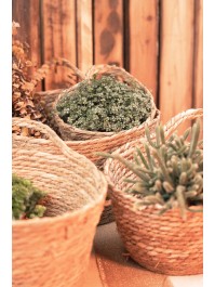 SET 4 KÖRBE BINSE NATUR HENKEL 18CM X 12CM X 13CM/24CM X 18CM X 15CM/28CM X 22CM X 17CM/32CM X 26CM X 19CM