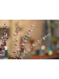 BRANCHAGE EUCALYPTUS PAILLETTES OR ROSE 61CM