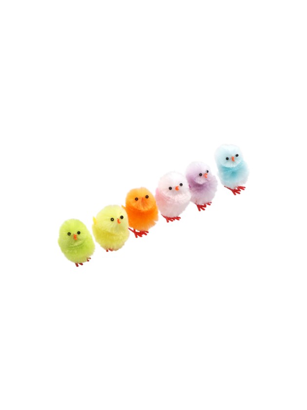 BOX 6 POUSSINS MEHRFARBIG 4CM