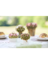 BLUMENSTRAUSS BLUMEN ROSA APOLLEINENE DIA 6.5CM X 9CM