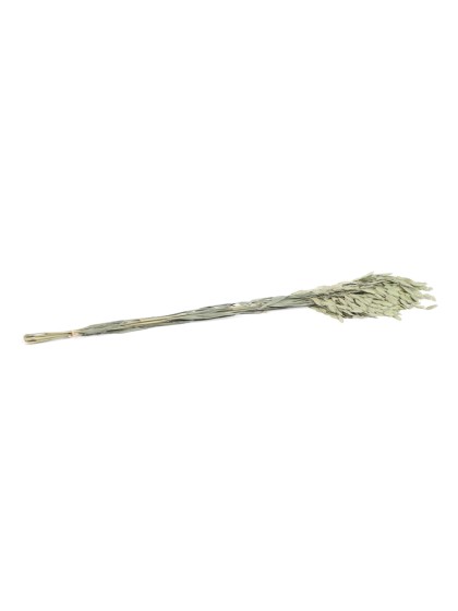 BOUQUET 10PCS AVOINE PLAT NATUREL 75-80CM