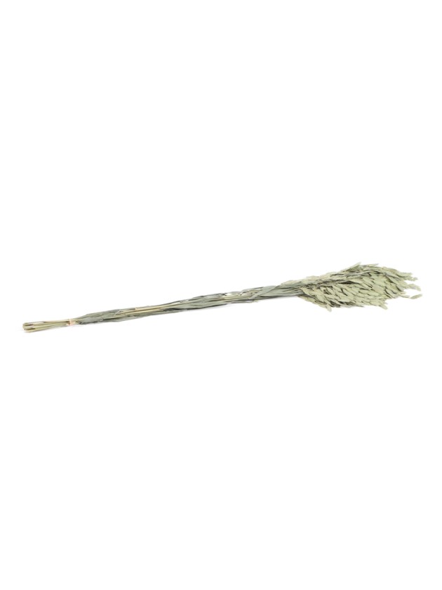 BOUQUET 10PCS AVOINE PLAT NATUREL 75-80CM