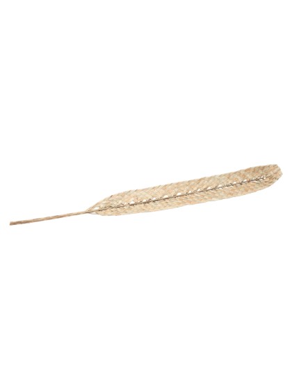 FEUILLE DATTIER TRESSEE SECHEE 8CM X 100CM