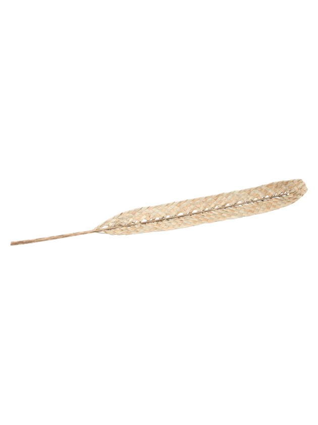 FEUILLE DATTIER TRESSEE SECHEE 8CM X 100CM