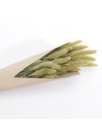 BLUMENSTRAUSS BORSTENHIRSE NATUR GRÜN CA. 100GR CA. 74CM
