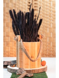 BOUQUET SETARIA BRUN ENV 100GR ENV 74CM