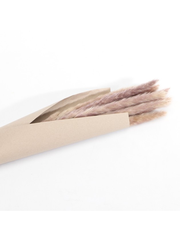 BUNCH OF NATURAL REED BUNCH 57GR +/- 77CM