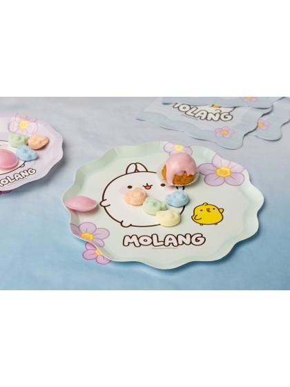8 ASSIETTES PLASTIC FREE MOLANG © 23CM
