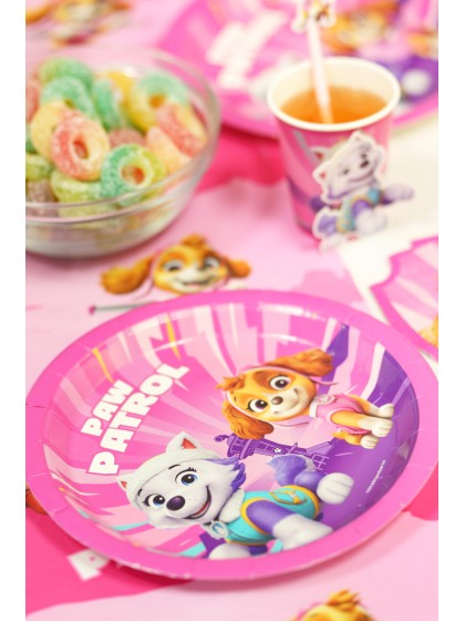 8 TELLER PLASTIC FREE PAW PATROL © 23CM