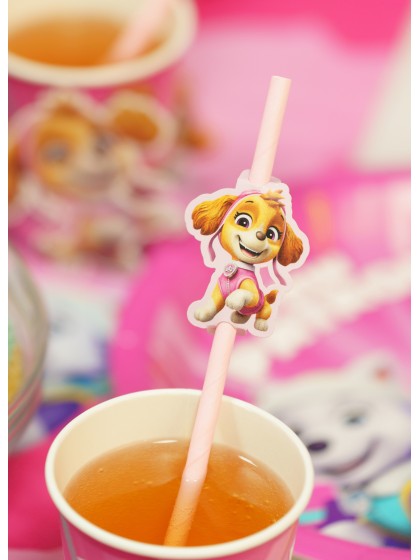 8 PAILLES PAPIER + MEDAILLONS PAW PATROL © 19.6CM / CA. 5CM X 6CM