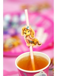 8 PAILLES PAPIER + MEDAILLONS PAW PATROL © 19.6CM / CA. 5CM X 6CM