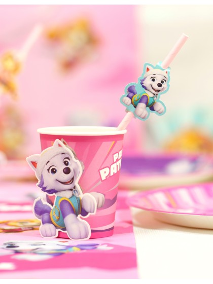 PACK 8 PAPER STRAWS + DECO PAW PATROL © 19.6CM / AROUND 5CM X 6CM