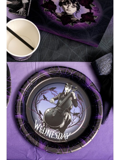 8 ASSIETTES PLASTIC FREE MERCREDI -WEDNESDAY © 18CM