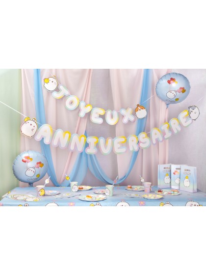 GUIRLANDE JOYEUX ANNIVERSAIRE MOLANG © 250CM X 18CM