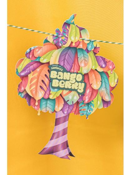 GUIRLANDE PAPIER HAPPY BIRTHDAY BANGOBERRY © 200CM X 16CM