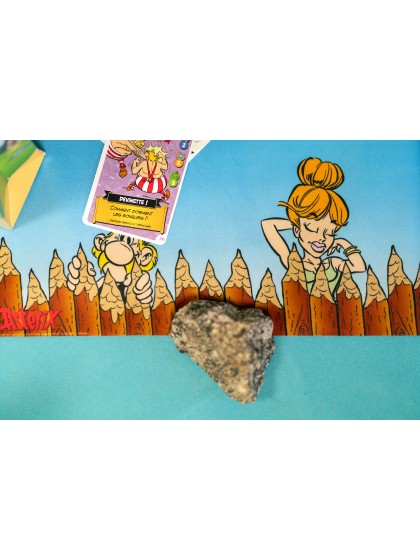 TISCHLÄUFER STOFF ASTERIX® 28CM X 3M