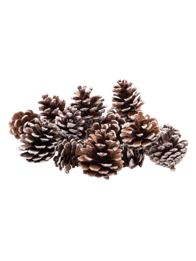 SACHET 100G POMMES DE PIN NEIGE 4CM